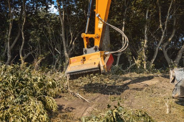 Cost of Brush Removal Service in Niceville
