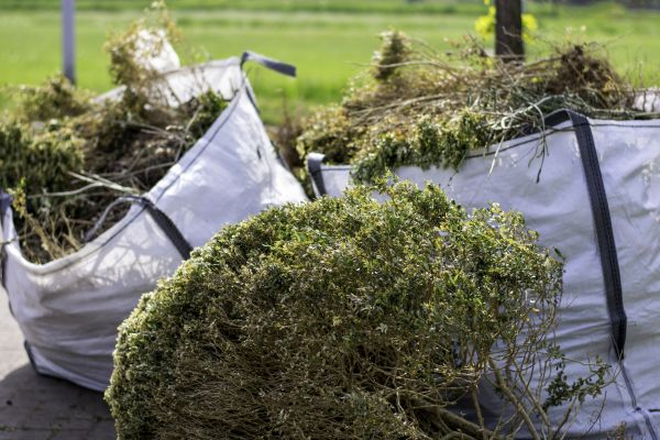Cost of Bushes Clearing in Niceville