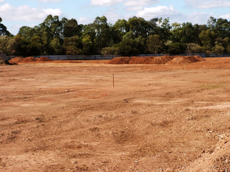 Brush Clearing Operation